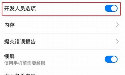 华为怎么改开发者选项_华为手机开发者选项在哪儿修改