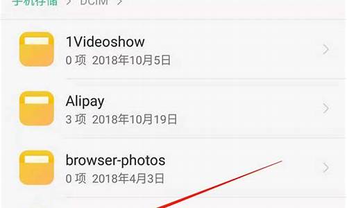 安卓手机照片在什么文件里_安卓手机的照片在哪个文件夹里