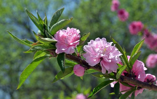 今日水印相机可以修改日期吗_今日水印相机可以修改日期吗怎么改